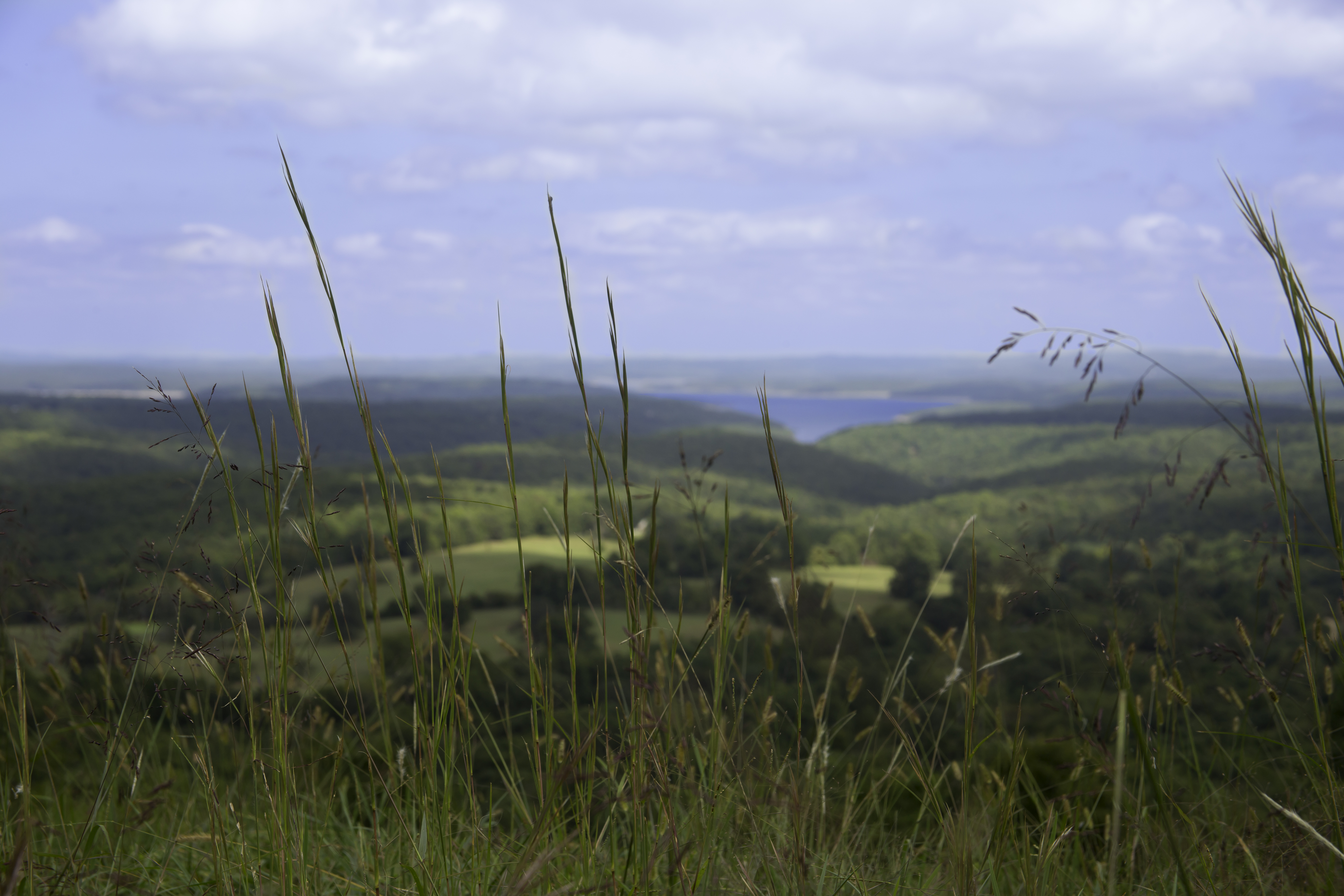 Ecology & Environment in the South Shore Area